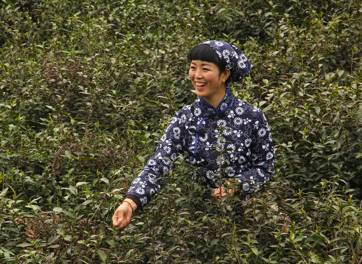 热门动漫4